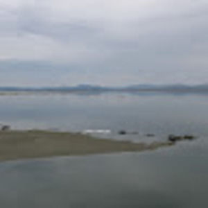 Meet your Posher, Abbie